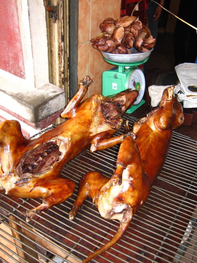 Do Vietnamese eat dog meat? What do the young locals say? Saigon Kiss